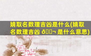 婧取名数理吉凶是什么(婧取名数理吉凶 🐬 是什么意思)